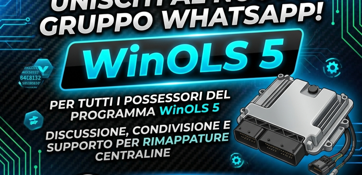 Gruppo WhatsApp WinOls5